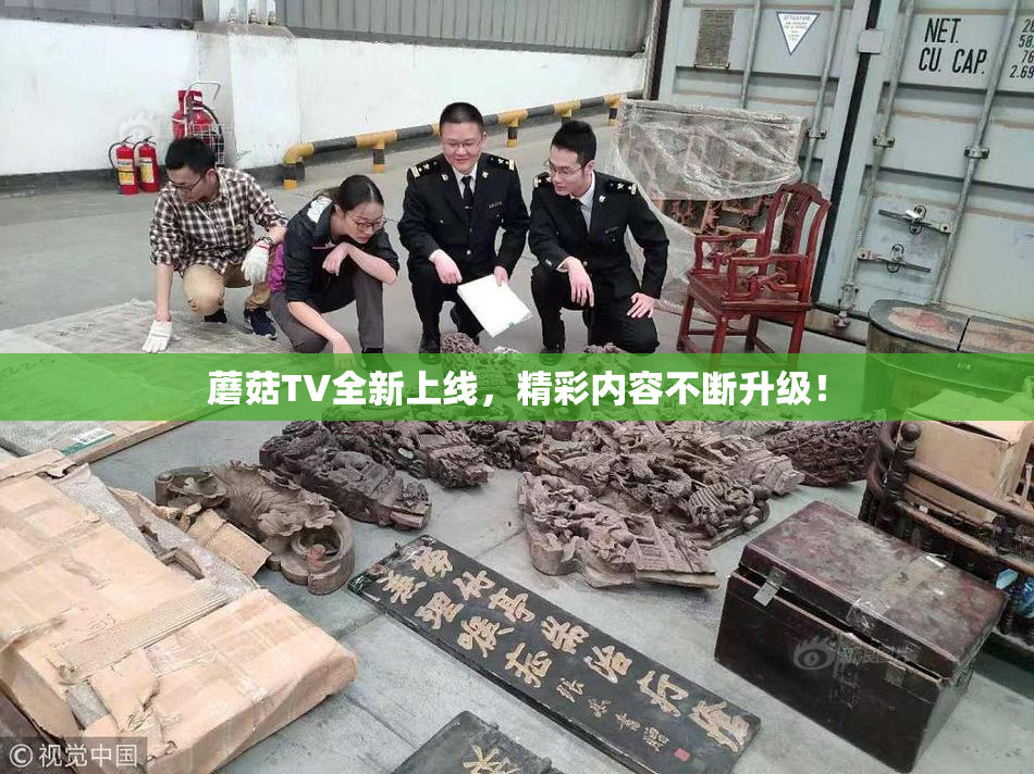 蘑菇TV全新上线，精彩内容不断升级！