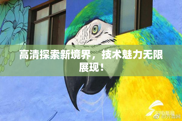 高清探索新境界，技术魅力无限展现！