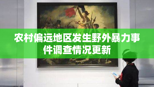 农村偏远地区发生野外暴力事件调查情况更新