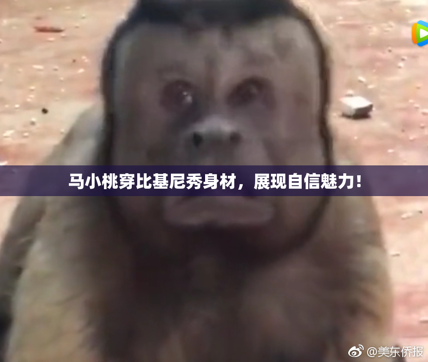 马小桃穿比基尼秀身材，展现自信魅力！