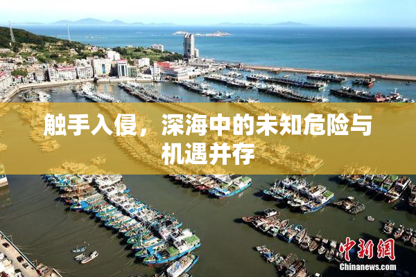 触手入侵，深海中的未知危险与机遇并存