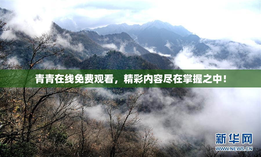 青青在线免费观看，精彩内容尽在掌握之中！