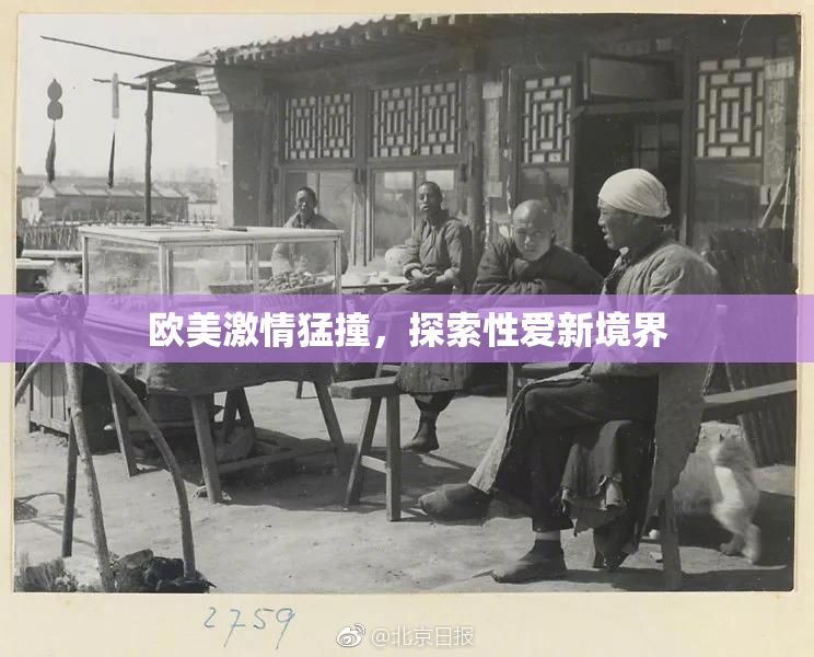 欧美激情猛撞，探索性爱新境界
