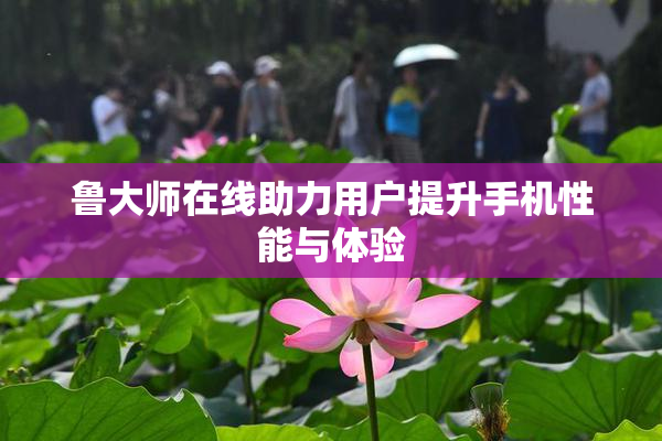 鲁大师在线助力用户提升手机性能与体验