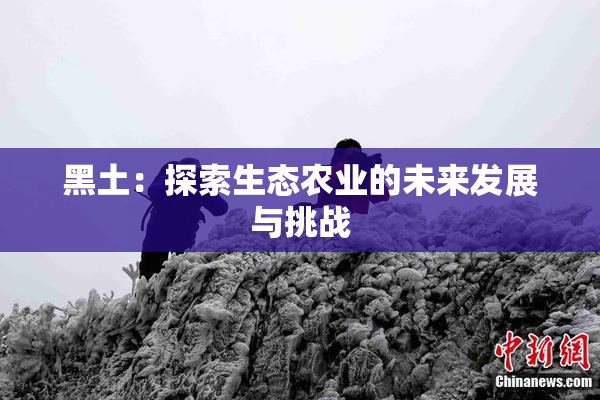 黑土：探索生态农业的未来发展与挑战
