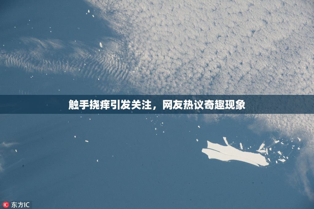 触手挠痒引发关注，网友热议奇趣现象