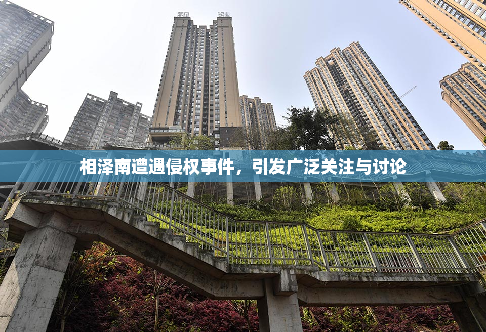 相泽南遭遇侵权事件，引发广泛关注与讨论