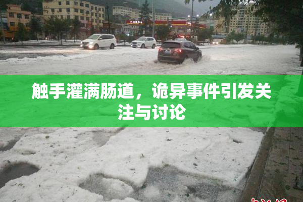 触手灌满肠道，诡异事件引发关注与讨论