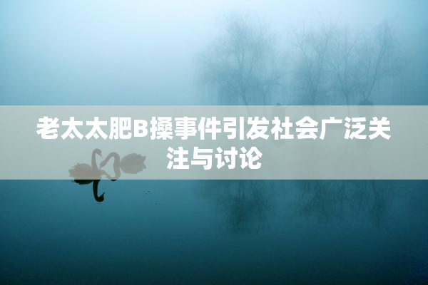 老太太肥B搡事件引发社会广泛关注与讨论