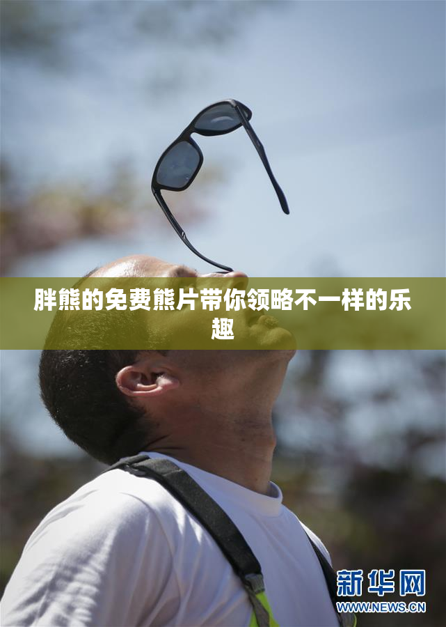 胖熊的免费熊片带你领略不一样的乐趣