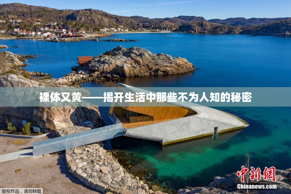 裸体又黄——揭开生活中那些不为人知的秘密
