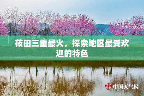 莜田三重最火，探索地区最受欢迎的特色