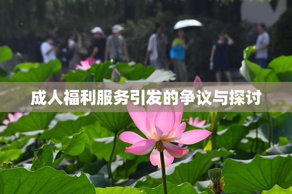 成人福利服务引发的争议与探讨