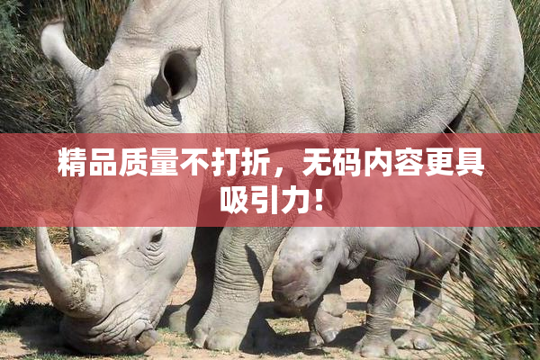 精品质量不打折，无码内容更具吸引力！