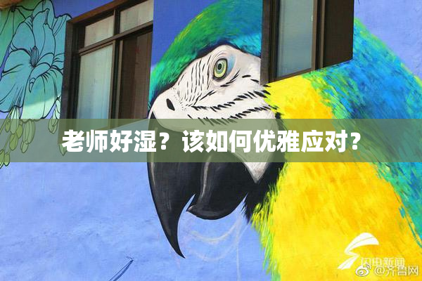 老师好湿？该如何优雅应对？