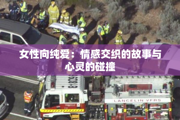 女性向纯爱：情感交织的故事与心灵的碰撞