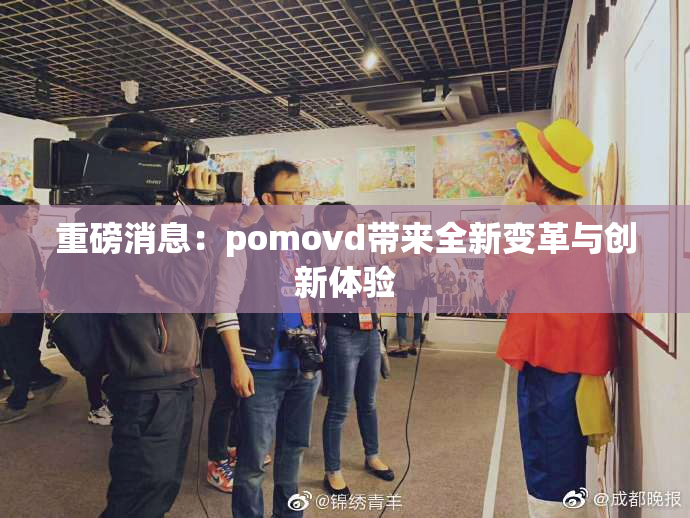 重磅消息：pomovd带来全新变革与创新体验