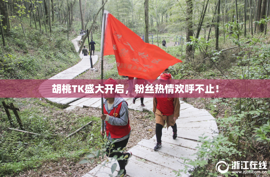 胡桃TK盛大开启，粉丝热情欢呼不止！