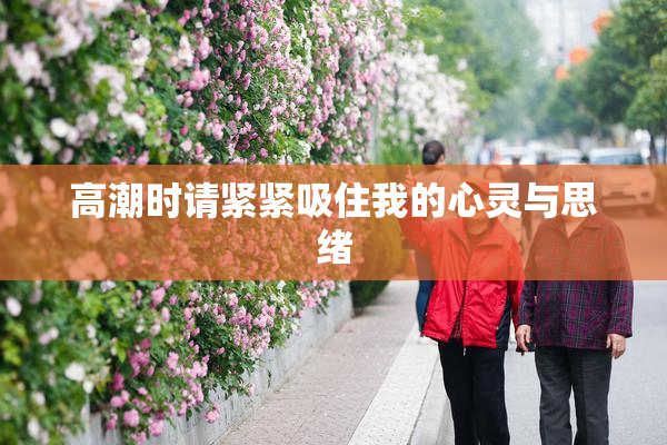 高潮时请紧紧吸住我的心灵与思绪