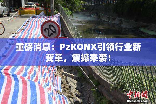 重磅消息：PzKONX引领行业新变革，震撼来袭！