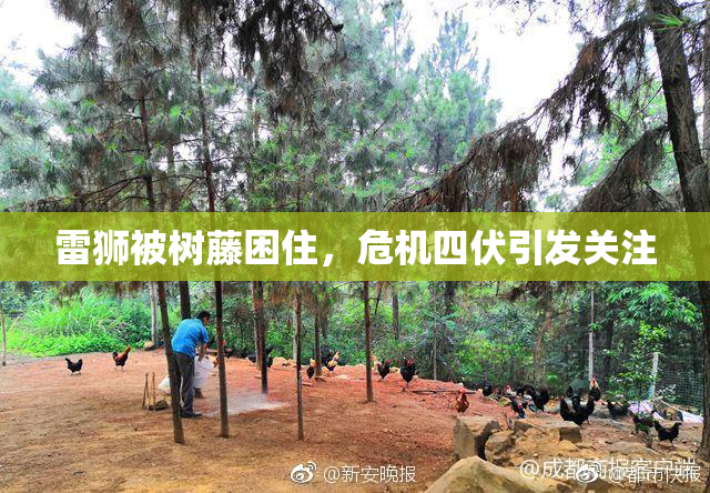 雷狮被树藤困住，危机四伏引发关注
