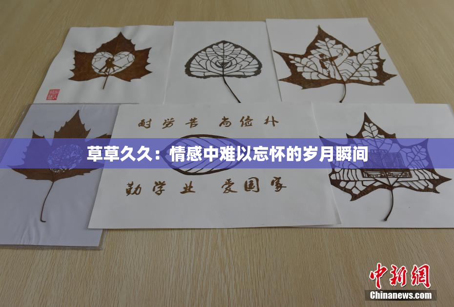 草草久久：情感中难以忘怀的岁月瞬间