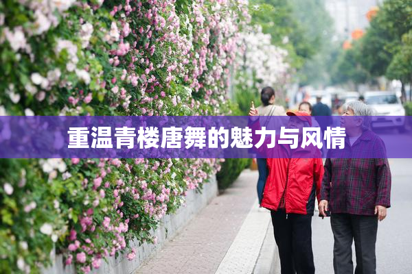重温青楼唐舞的魅力与风情