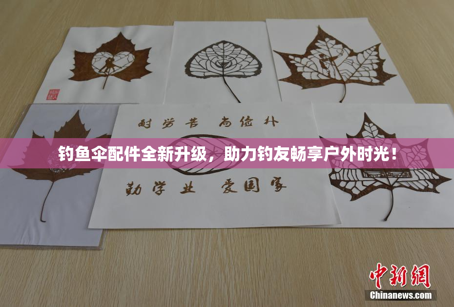 钓鱼伞配件全新升级，助力钓友畅享户外时光！
