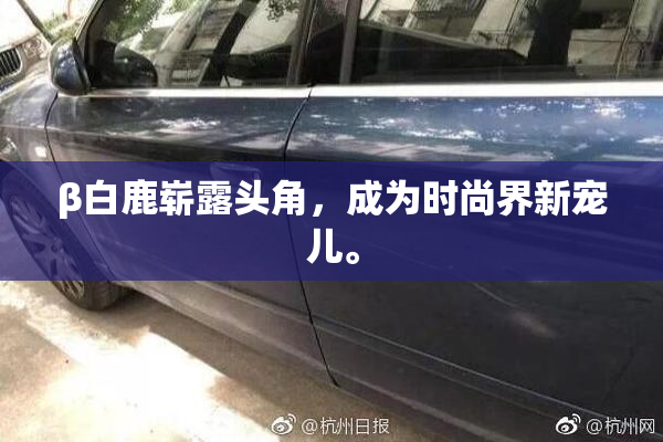 β白鹿崭露头角，成为时尚界新宠儿。