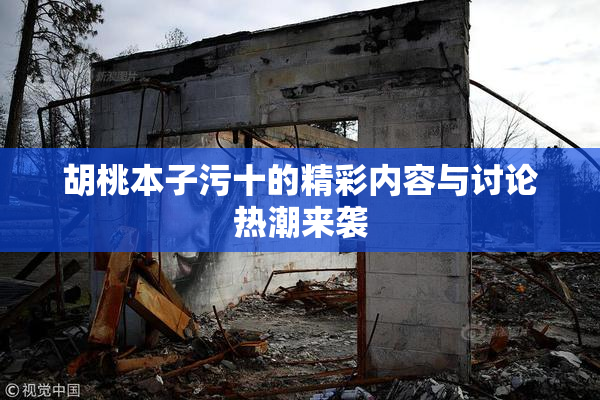胡桃本子污十的精彩内容与讨论热潮来袭