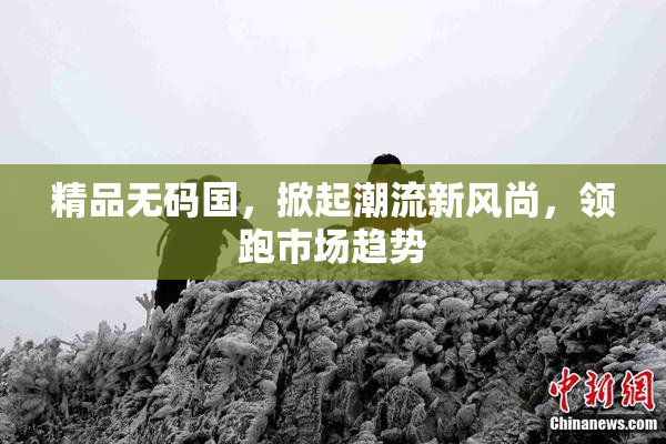 精品无码国，掀起潮流新风尚，领跑市场趋势