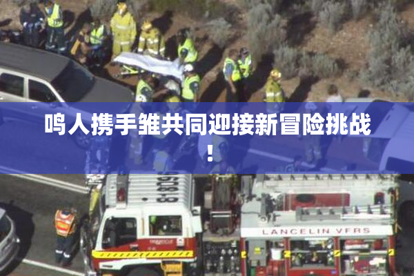 鸣人携手雏共同迎接新冒险挑战！
