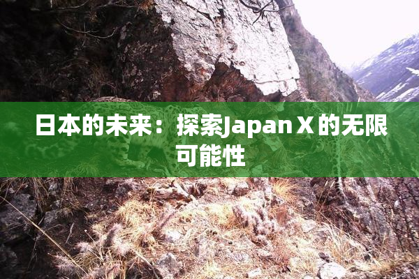 日本的未来：探索JapanⅩ的无限可能性