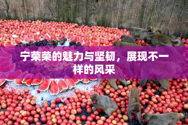 宁荣荣的魅力与坚韧，展现不一样的风采