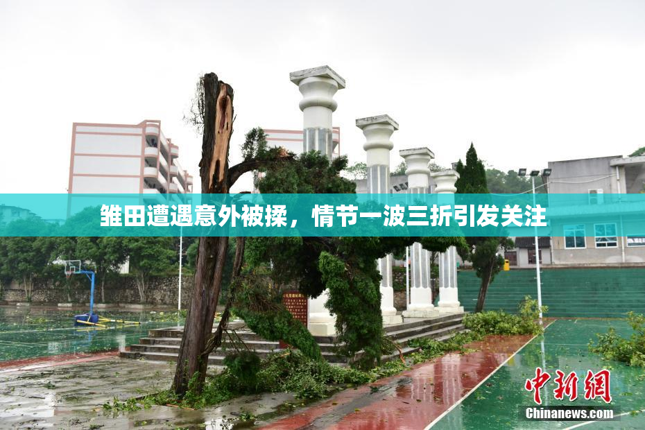 雏田遭遇意外被揉，情节一波三折引发关注