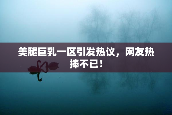 美腿巨乳一区引发热议，网友热捧不已！