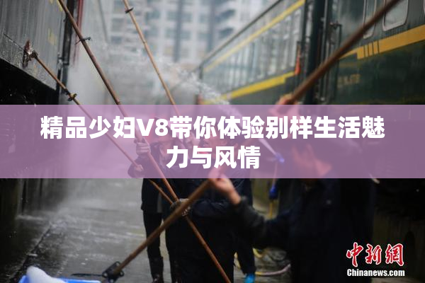 精品少妇V8带你体验别样生活魅力与风情