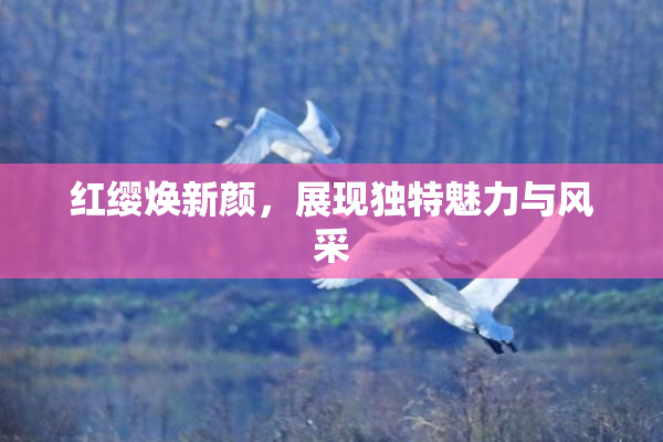 红缨焕新颜，展现独特魅力与风采