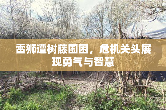 雷狮遭树藤围困，危机关头展现勇气与智慧