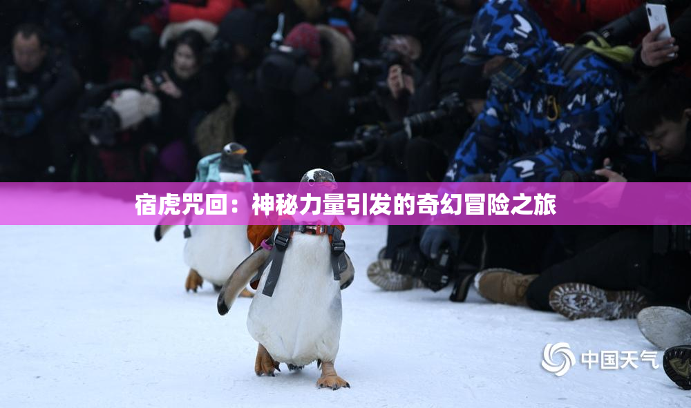 宿虎咒回：神秘力量引发的奇幻冒险之旅