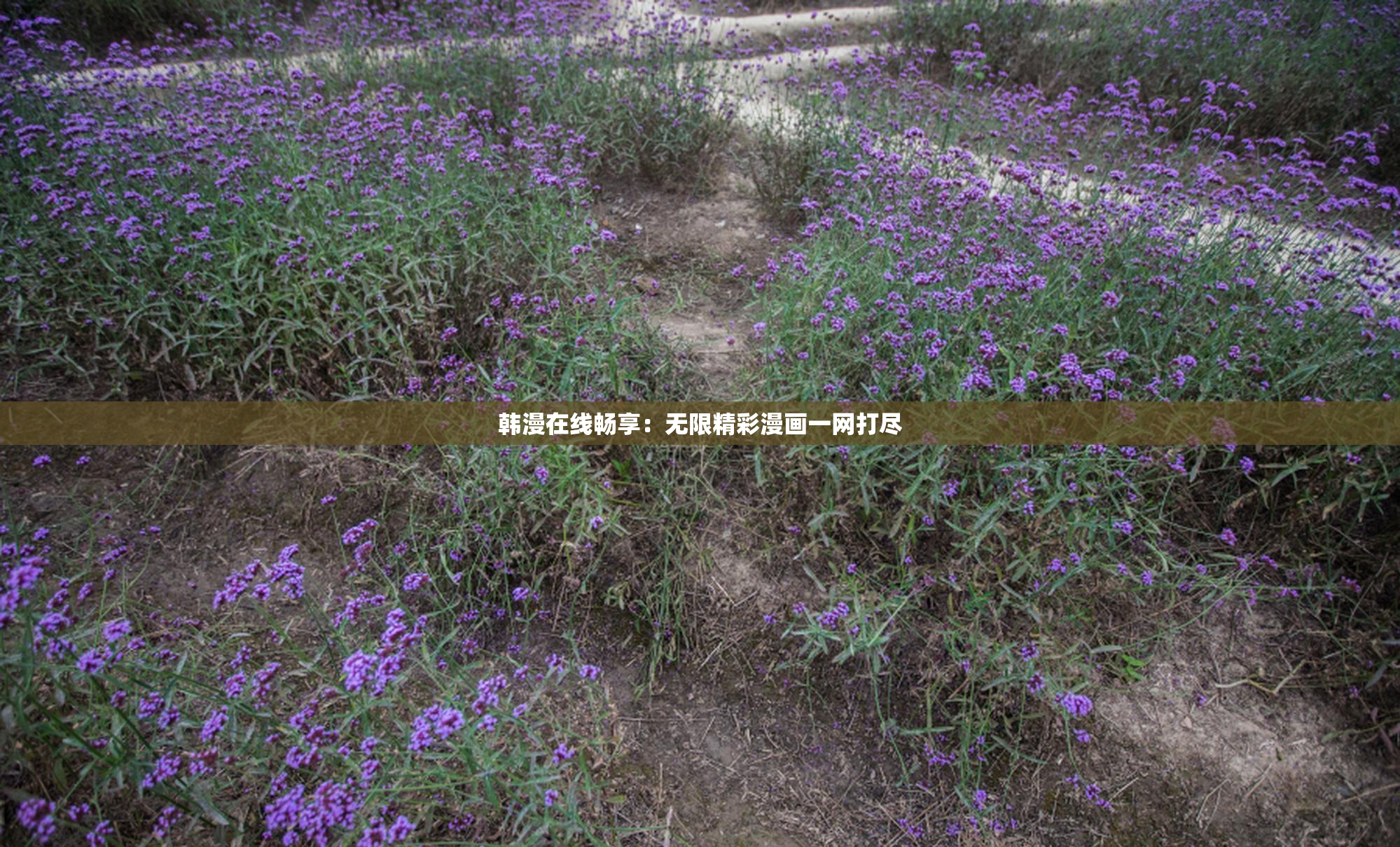韩漫在线畅享：无限精彩漫画一网打尽