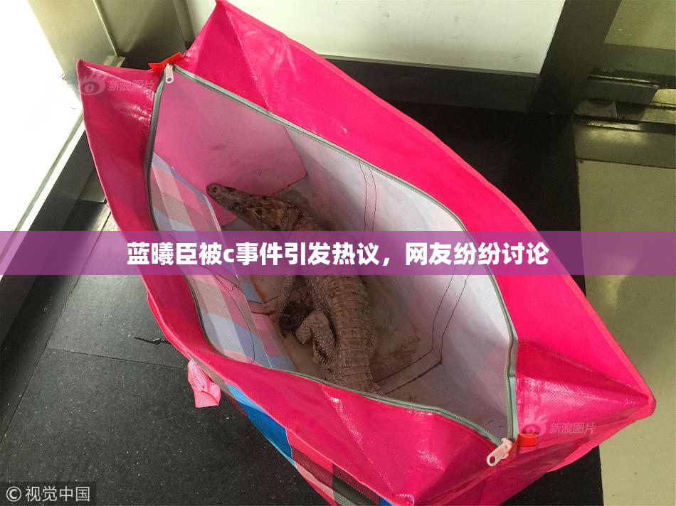 蓝曦臣被c事件引发热议，网友纷纷讨论
