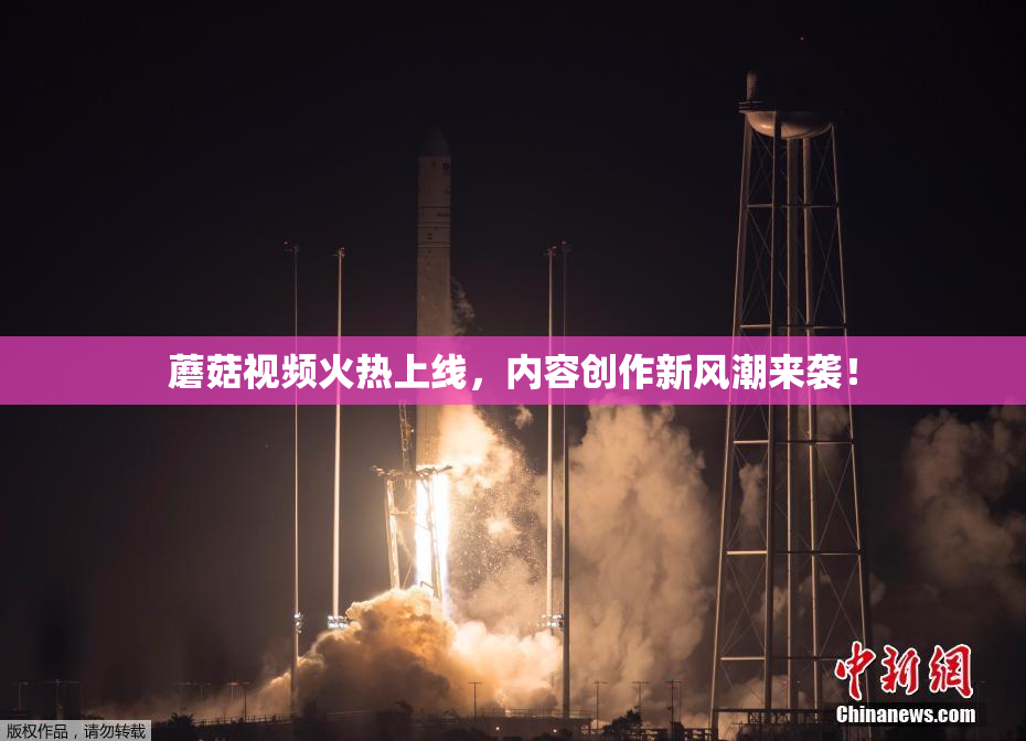 蘑菇视频火热上线，内容创作新风潮来袭！