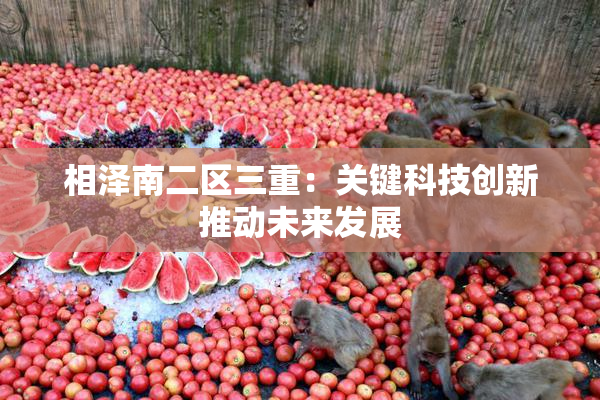 相泽南二区三重：关键科技创新推动未来发展