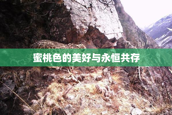 蜜桃色的美好与永恒共存