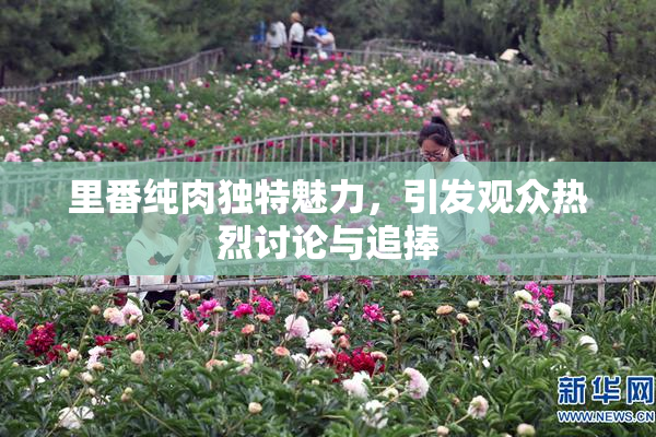 里番纯肉独特魅力，引发观众热烈讨论与追捧