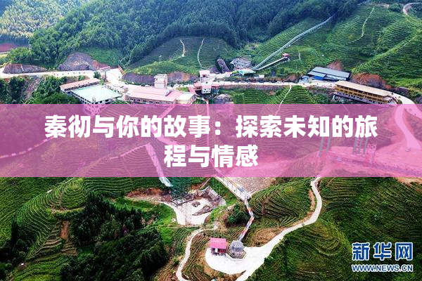 秦彻与你的故事：探索未知的旅程与情感