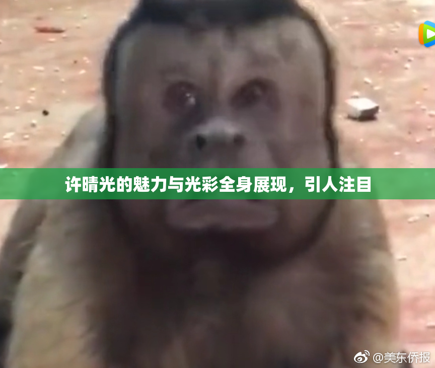 许晴光的魅力与光彩全身展现，引人注目