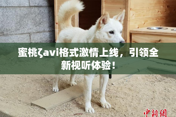 蜜桃ζavi格式激情上线，引领全新视听体验！