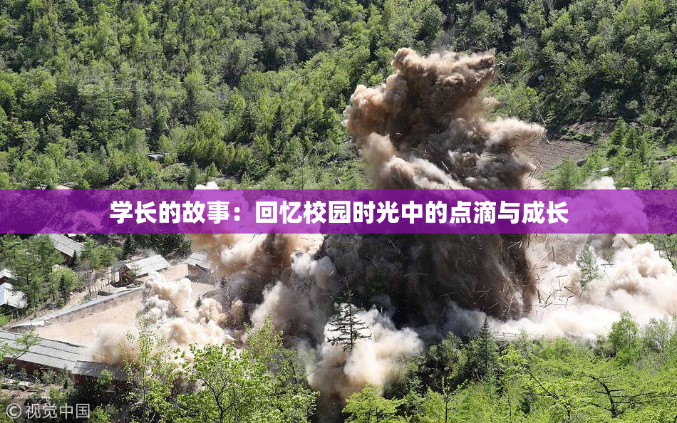 学长的故事：回忆校园时光中的点滴与成长